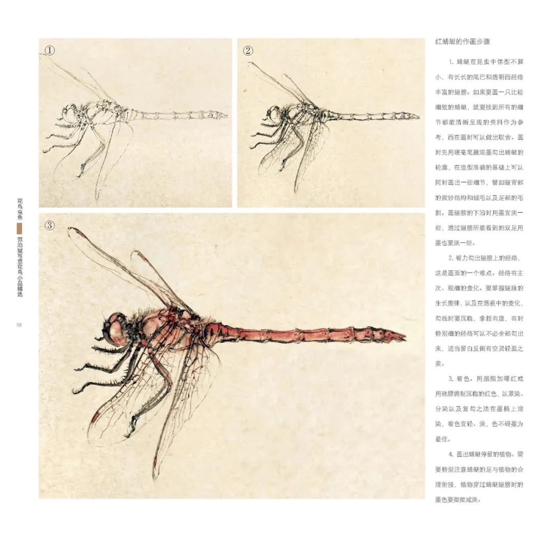 范图笔墨传神、品种丰富，《花鸟虫鱼——范治斌写意花鸟技法解析》出版