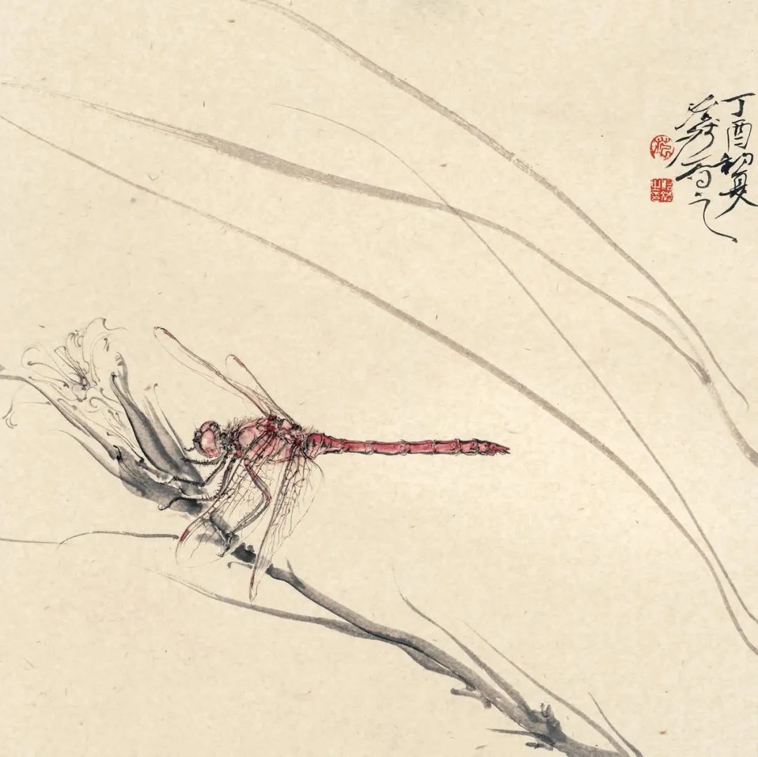 范图笔墨传神、品种丰富，《花鸟虫鱼——范治斌写意花鸟技法解析》出版