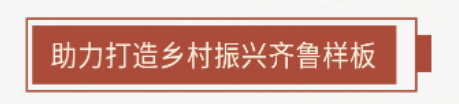 金融报国百十载 服务齐鲁向未来——中国银行山东省分行助力山东高质量发展侧记