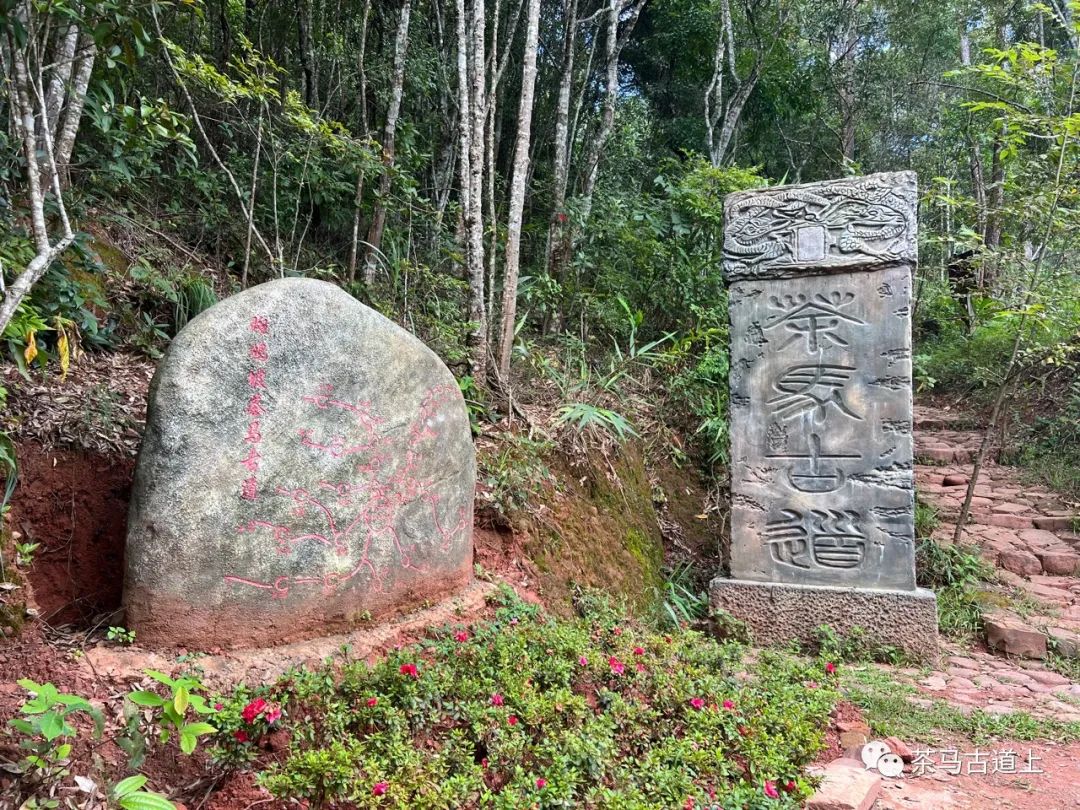 追古忆友，舒建新一行游览茶马古道遗址公园