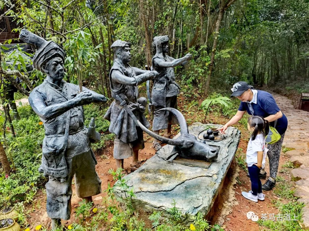 追古忆友，舒建新一行游览茶马古道遗址公园