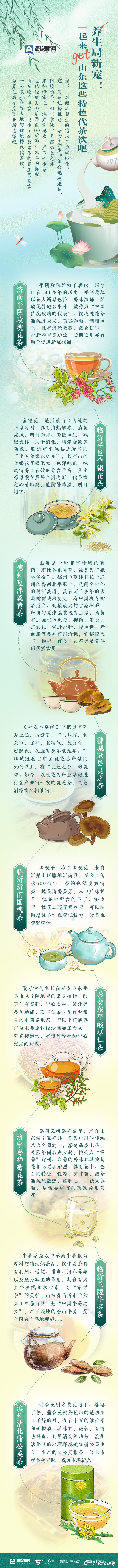 桑黄茶、灵芝茶、国槐茶、牛蒡茶……你喝过山东这些特色养生代茶饮吗？