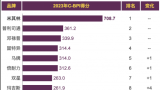 2023中国轮胎品牌排行榜公布