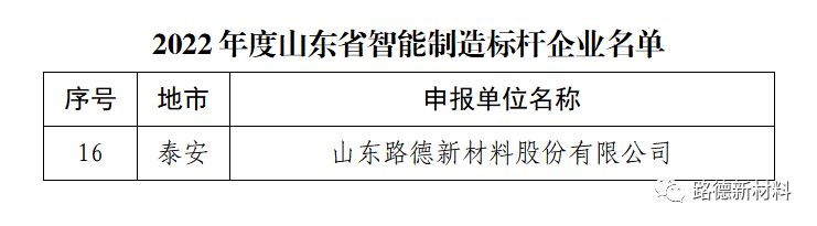 路德公司获评“山东省智能制造标杆企业”