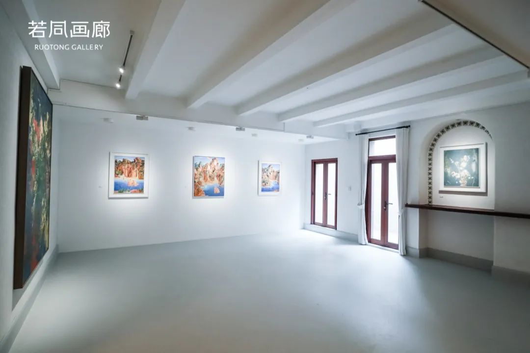 “芳华·王朝刚作品展”在深圳开展，展期至6月30日