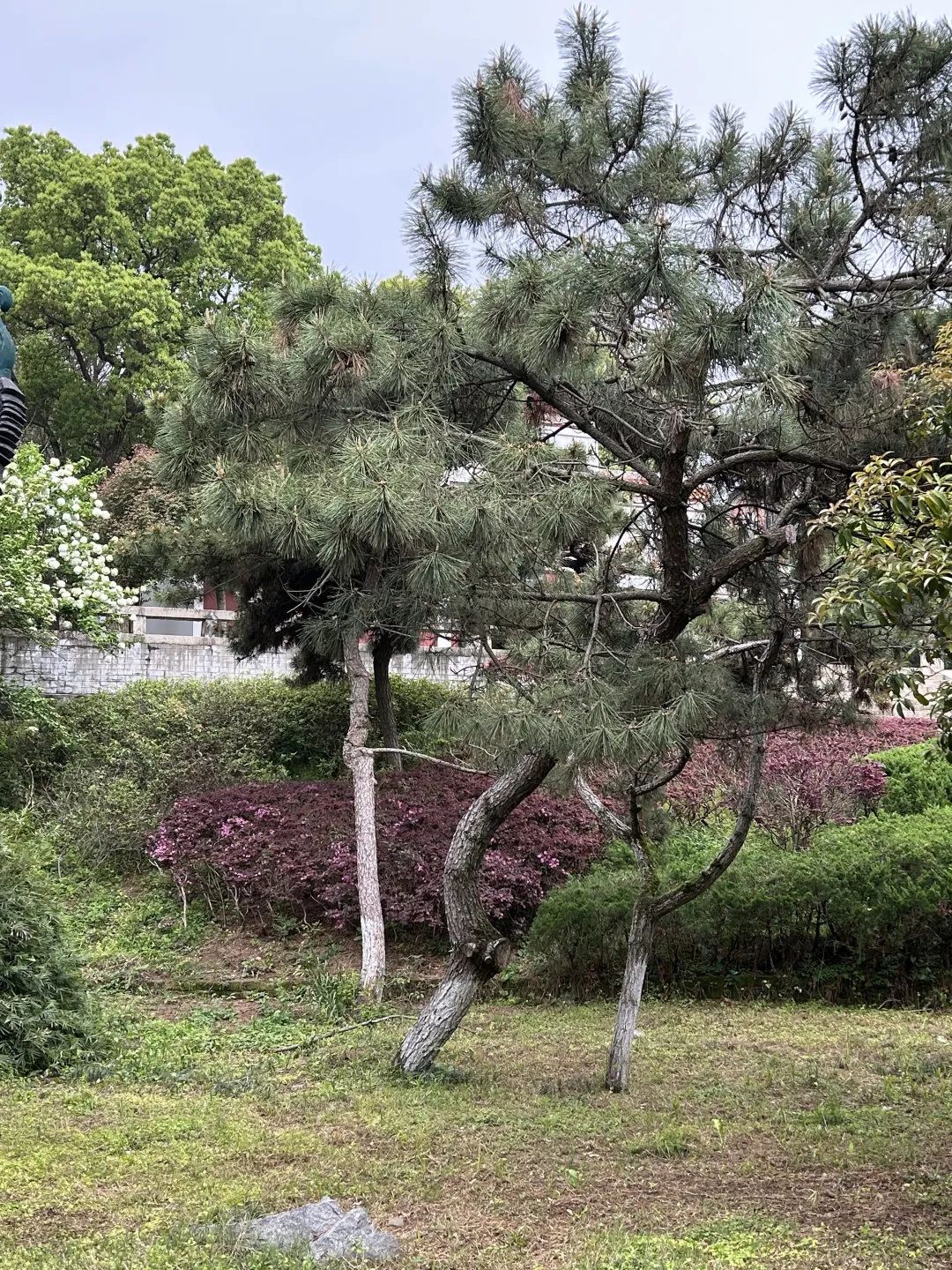 范扬｜癸卯暮春岳阳写生纪事