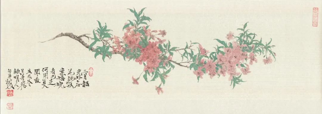 生色春衫画折枝，赏画家郝孝飞花鸟小品