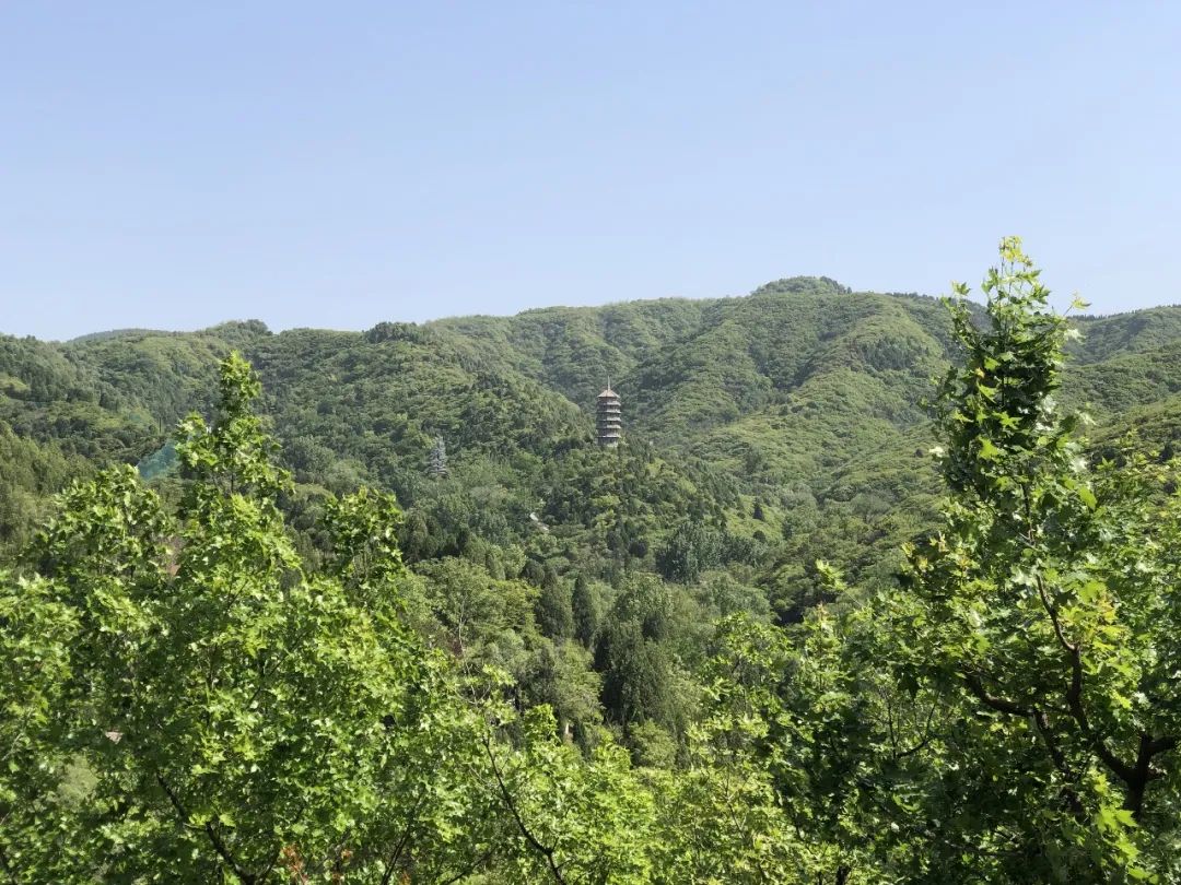 著名艺术家马子恺手书，《天开鸿运》巨匾在济南红叶谷落成揭幕