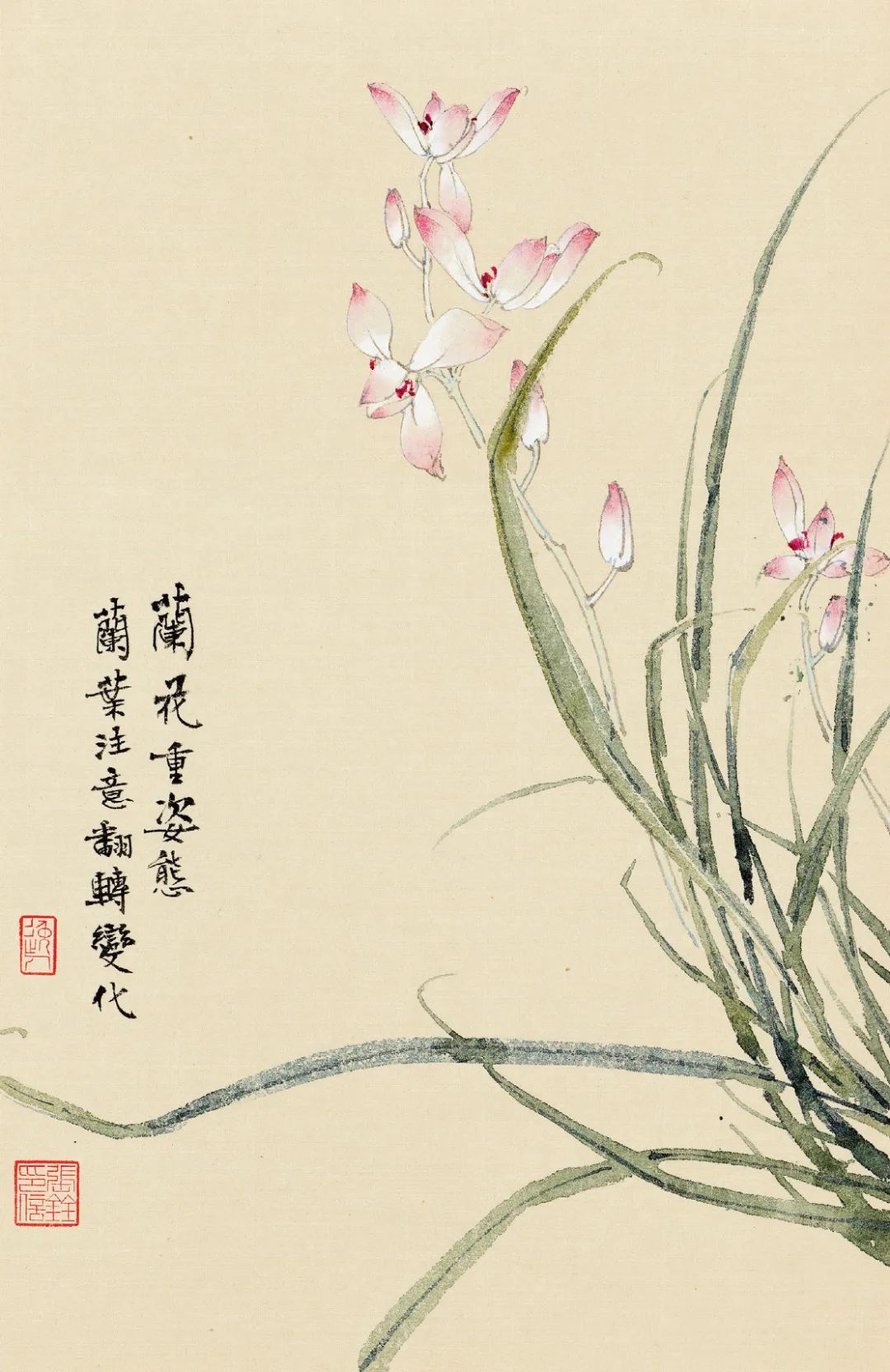 张铨 | 百卉含英——花卉入画的生机气息