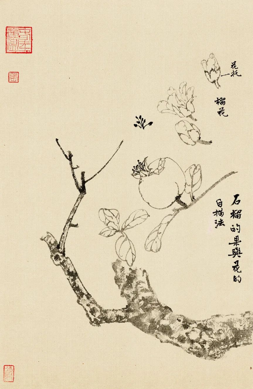 张铨 | 百卉含英——花卉入画的生机气息