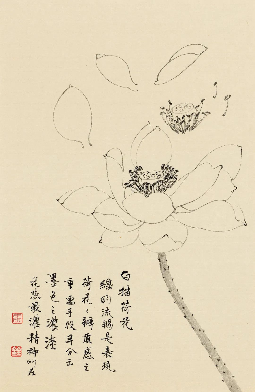 张铨 | 百卉含英——花卉入画的生机气息