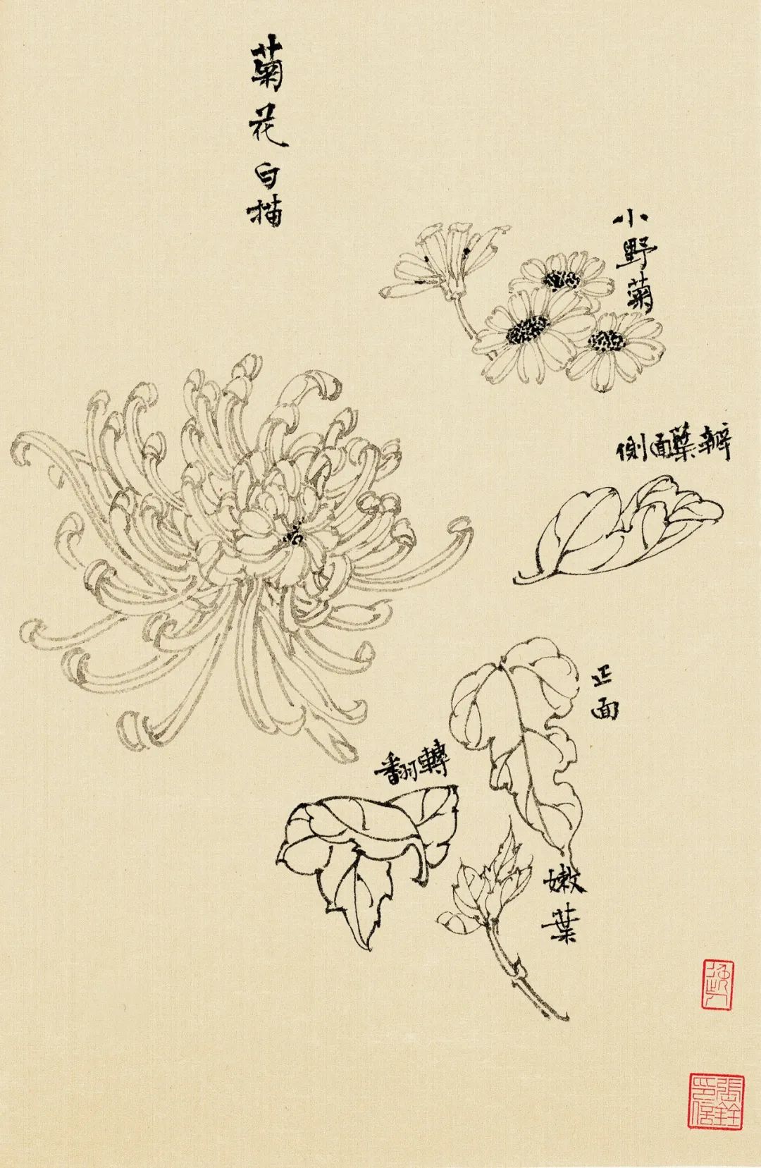 张铨 | 百卉含英——花卉入画的生机气息