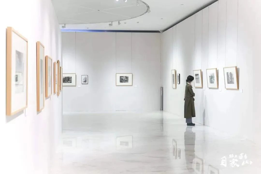国际博物馆日，关山月美术馆馆长陈湘波谈美术馆的发展之路