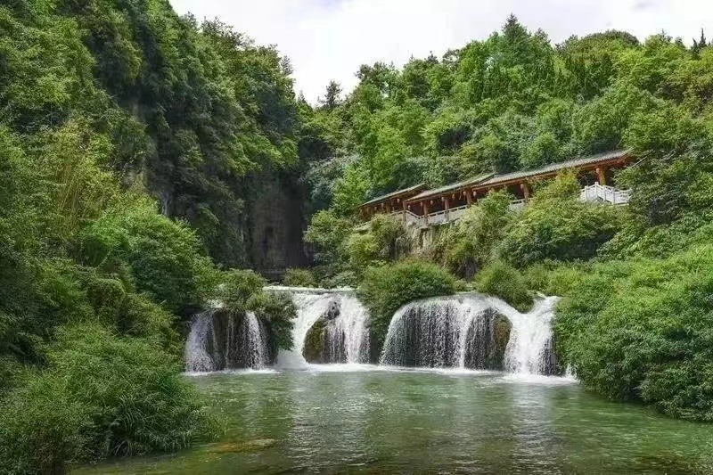 和岳黔山、方向一起看山看树看水看见自己，《中国美术报》“边游边学”走进爽爽的贵州