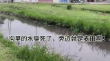 ​天天3·15 | 滨州市惠民县麦地旁千米沟渠污水臭气熏天，村民多次举报无人来管