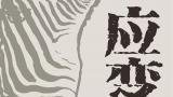 “应变——石磊艺术展”5月28日将在湖北美术馆开幕