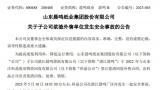晨鸣纸业子公司湛江晨鸣厂区发生安全事故，造成4人缺氧死亡