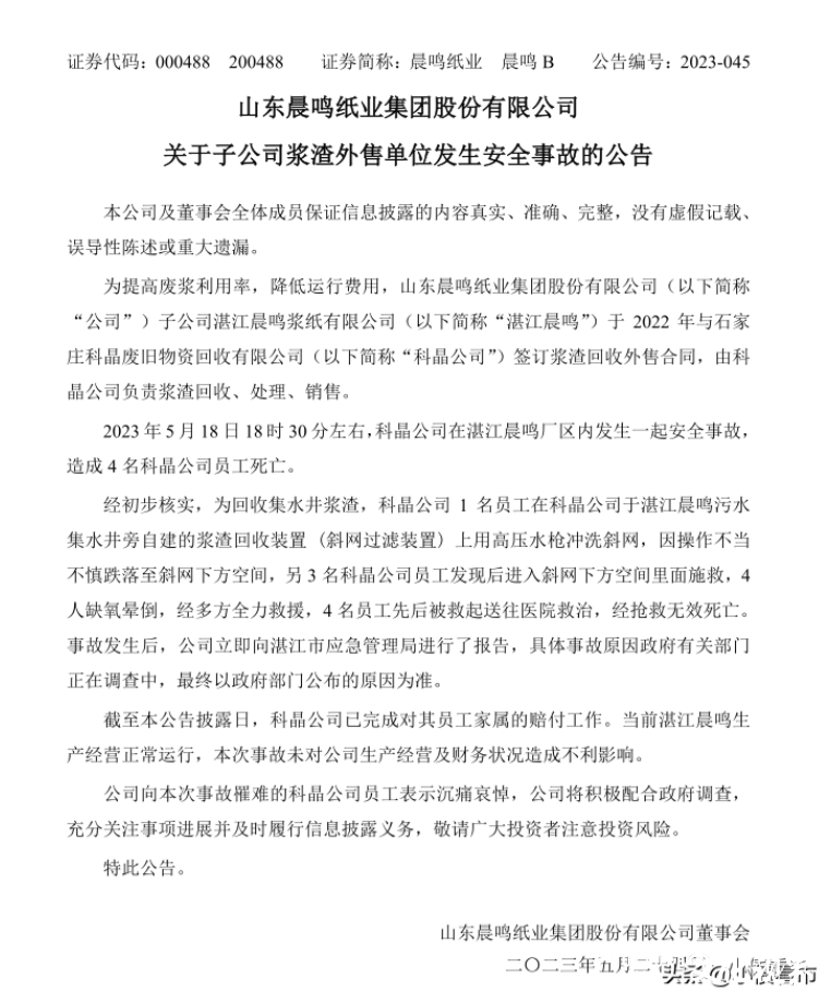 晨鸣纸业盈利能力下滑、业绩亏损，面临一定短期偿债压力