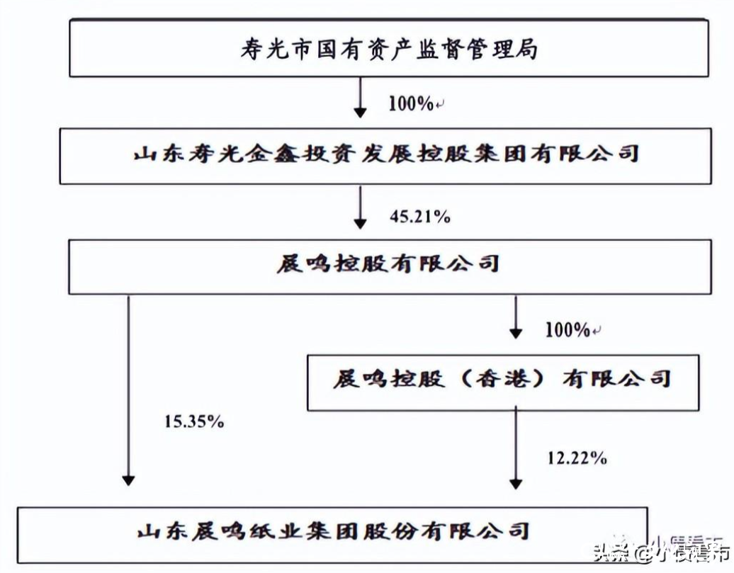 晨鸣纸业盈利能力下滑、业绩亏损，面临一定短期偿债压力