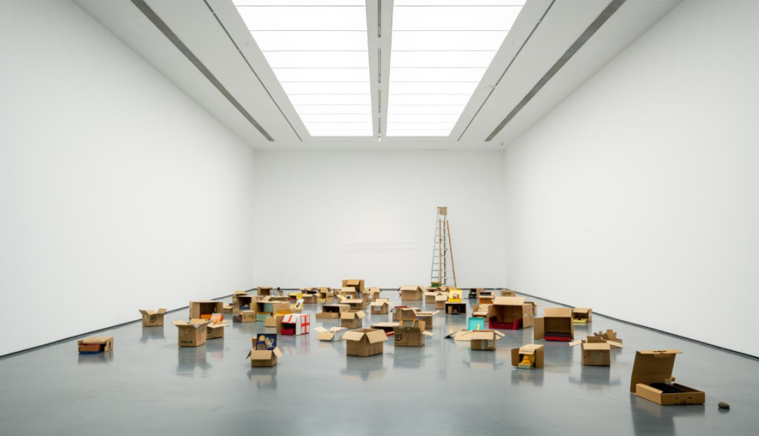 两大名家视角、8组艺术作品，展览“盒子：滕菲 谭平”隆重开幕