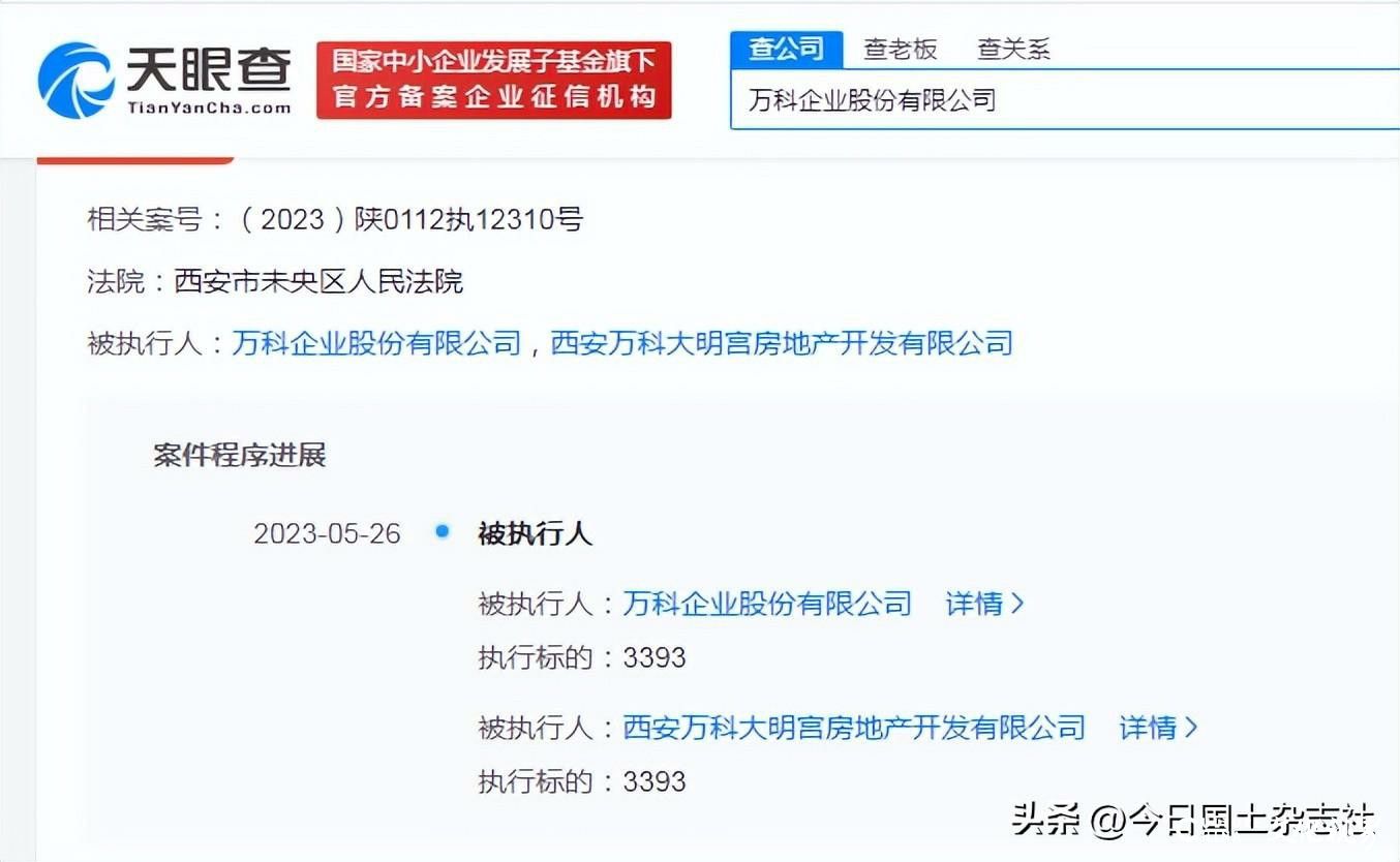 万科股份及旗下公司被强执3393元