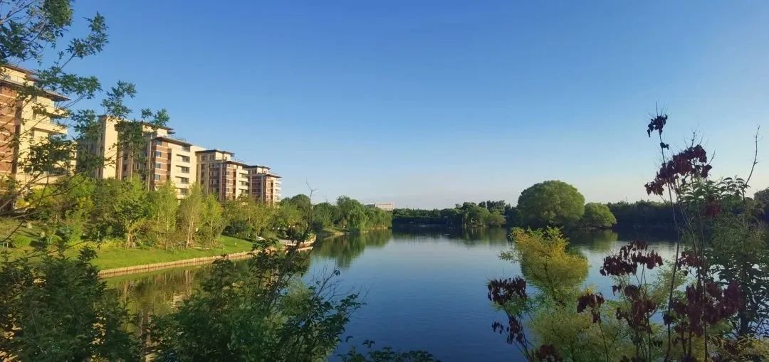 临湖而居 惬意非凡，在济南蓝石大溪地尽享清凉夏日