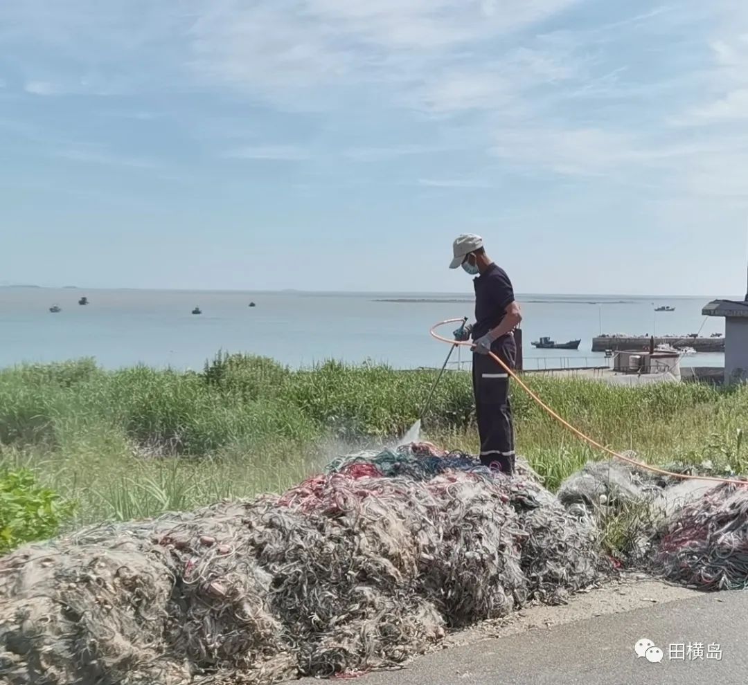 抓重点 治根源，青岛田横岛夏季灭蚊蝇进行中