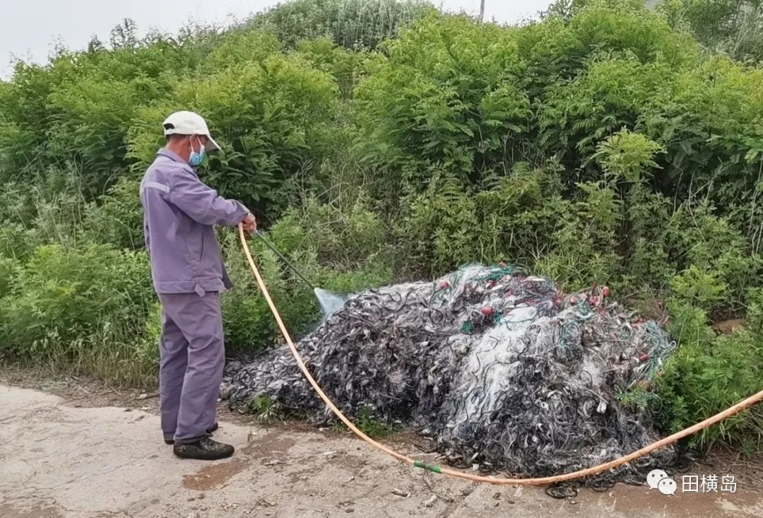 抓重点 治根源，青岛田横岛夏季灭蚊蝇进行中