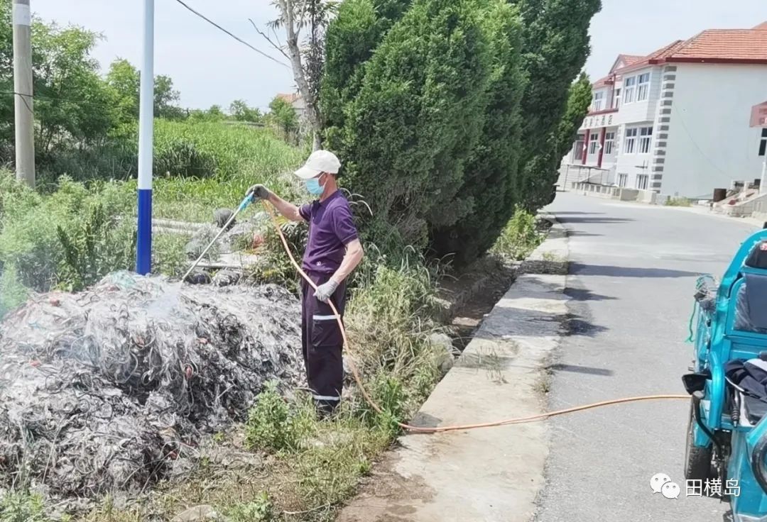 抓重点 治根源，青岛田横岛夏季灭蚊蝇进行中