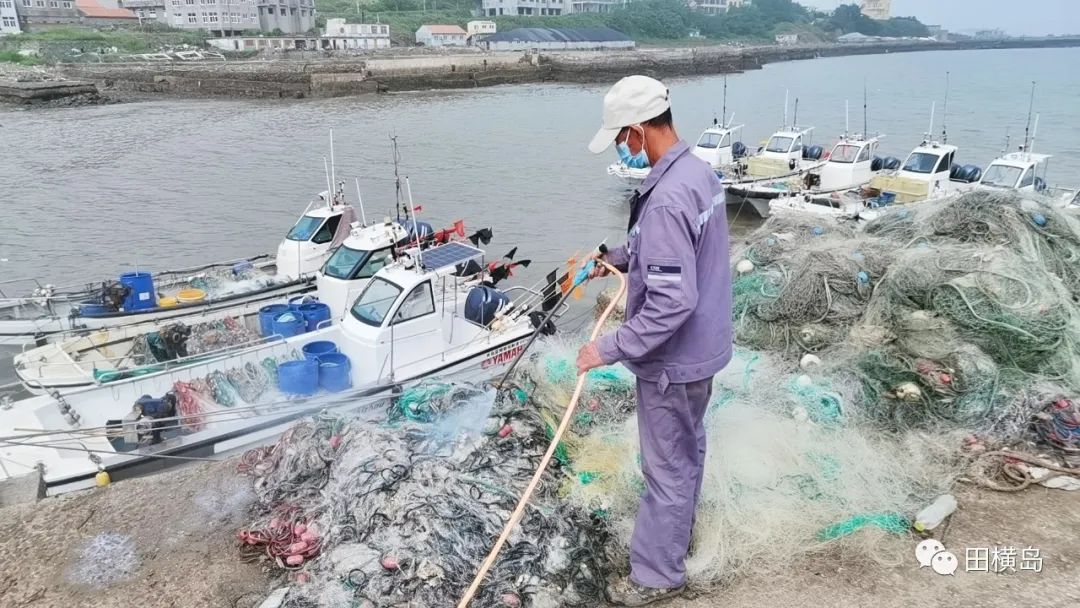 抓重点 治根源，青岛田横岛夏季灭蚊蝇进行中