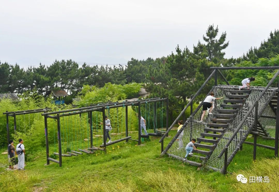 抓重点 治根源，青岛田横岛夏季灭蚊蝇进行中