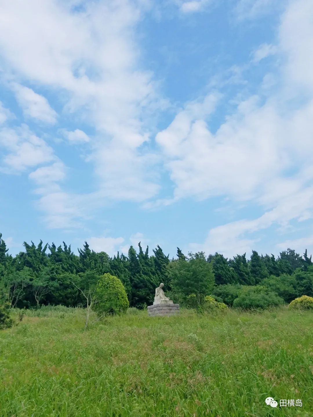 抓重点 治根源，青岛田横岛夏季灭蚊蝇进行中