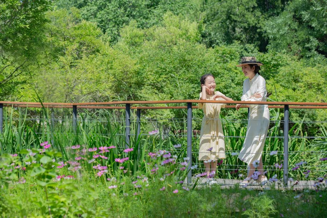 露天电影、跳蚤市场、尤克里里手作、3D彩绘……济南天鸿万象东方夏日狂欢high起来