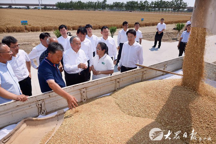 林武在潍坊高密调研“三夏”生产，强调确保颗粒归仓