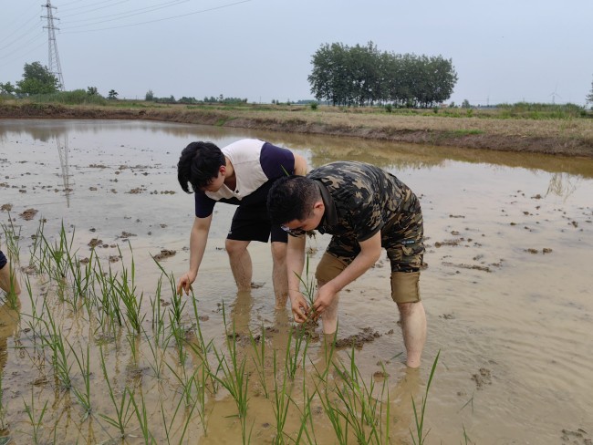 陈光标连续25年帮父母夏收秋种：和儿子一起干农活，回家的感觉真好！