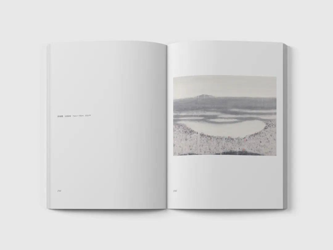 《无际：杜小同作品集》：以海、石面目呈现的心象世界