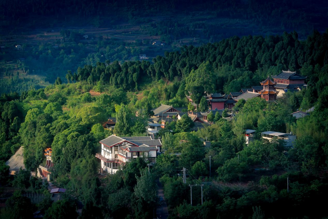 奋进新时代 丹青绘振兴——中国国家画院走进成都金堂采风写生活动侧记