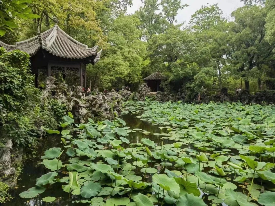 枕水老屋、过街骑楼、宜园……著名画家邹明写生乌镇、南浔