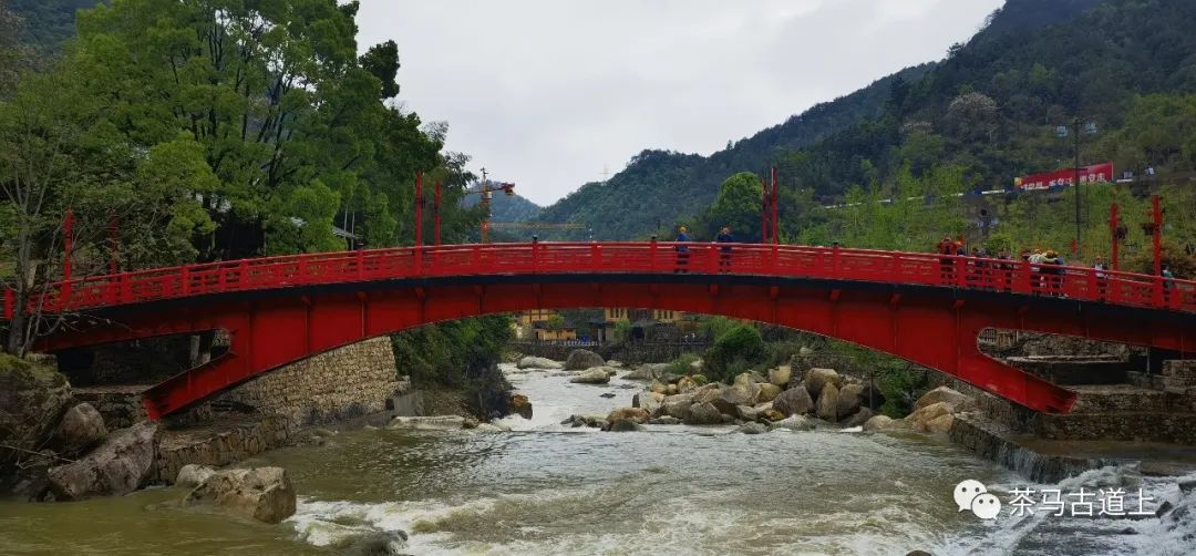 舒建新写生望仙谷：羽化成仙