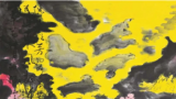 孙博文超越性的艺术画卷，应载入当代中国美术史