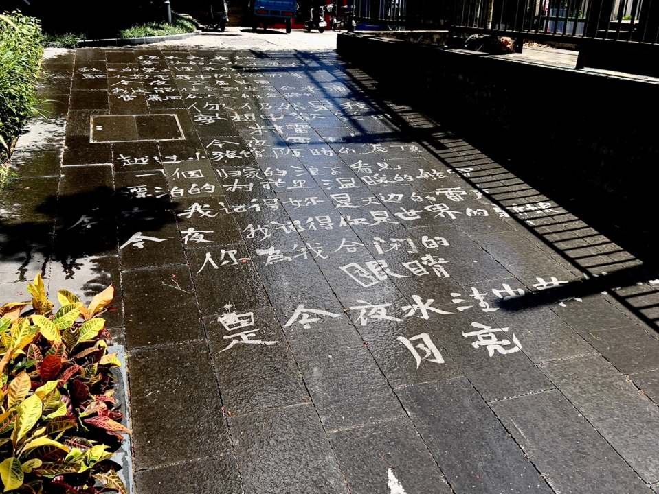 “等待一场雨”——邱志杰：我在南头古城写了什么