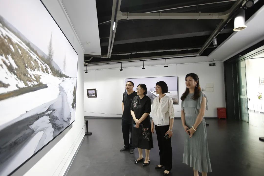 “静谧的力量——陆庆龙油画风景展”在凤凰艺都美术馆隆重开幕