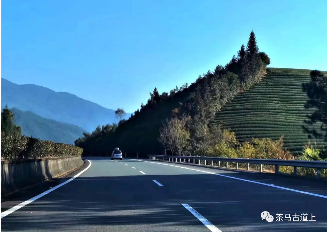 奇山觅宝——与著名画家舒建新一起探访武夷山