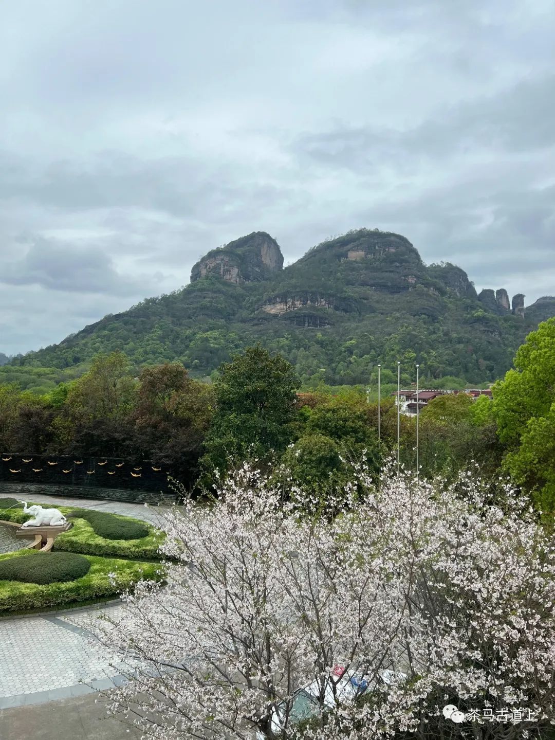 奇山觅宝——与著名画家舒建新一起探访武夷山