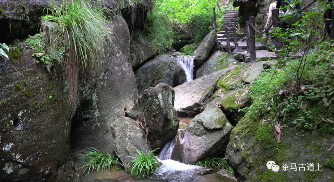 奇山觅宝——与著名画家舒建新一起探访武夷山