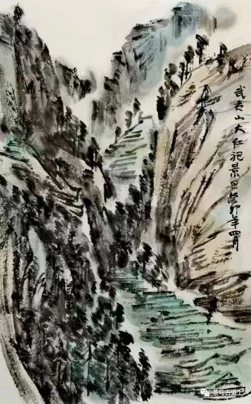 奇山觅宝——与著名画家舒建新一起探访武夷山