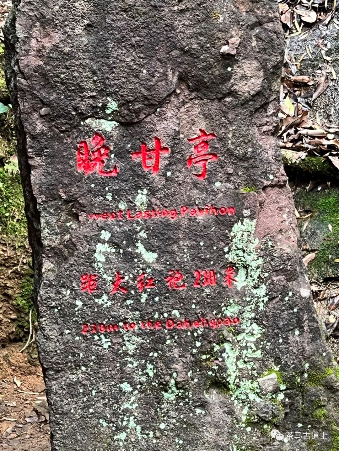 奇山觅宝——与著名画家舒建新一起探访武夷山