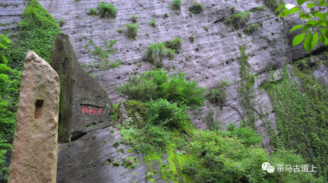 奇山觅宝——与著名画家舒建新一起探访武夷山