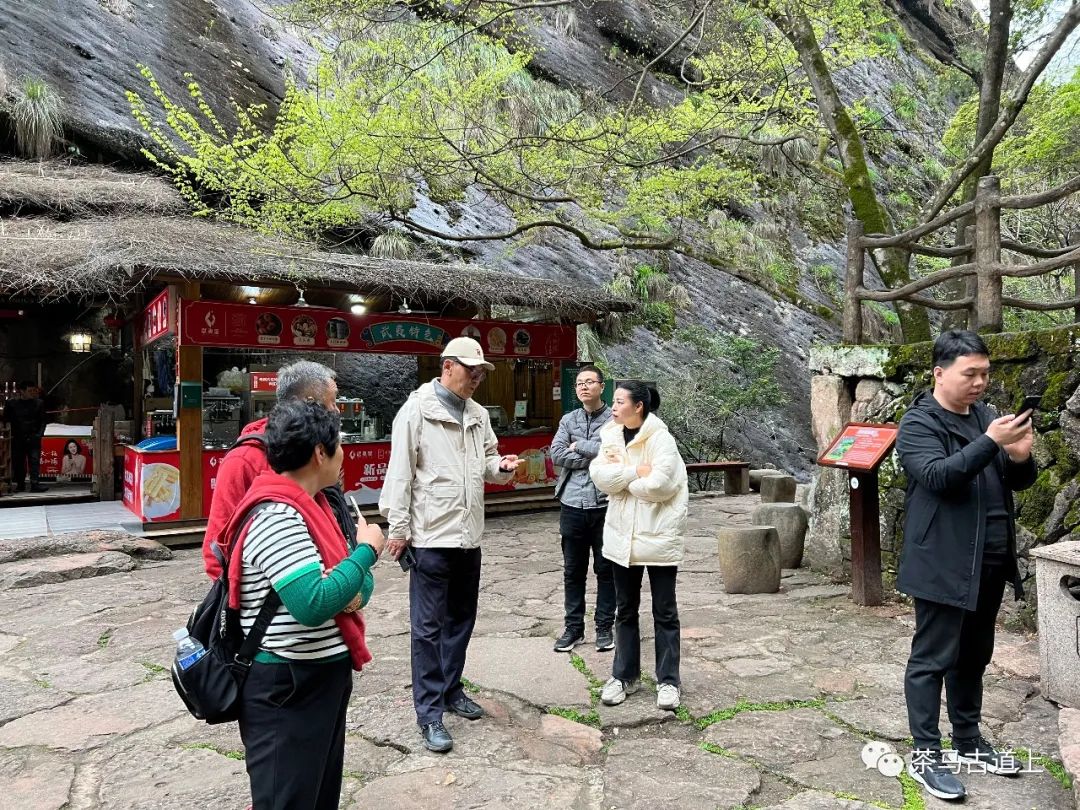 奇山觅宝——与著名画家舒建新一起探访武夷山