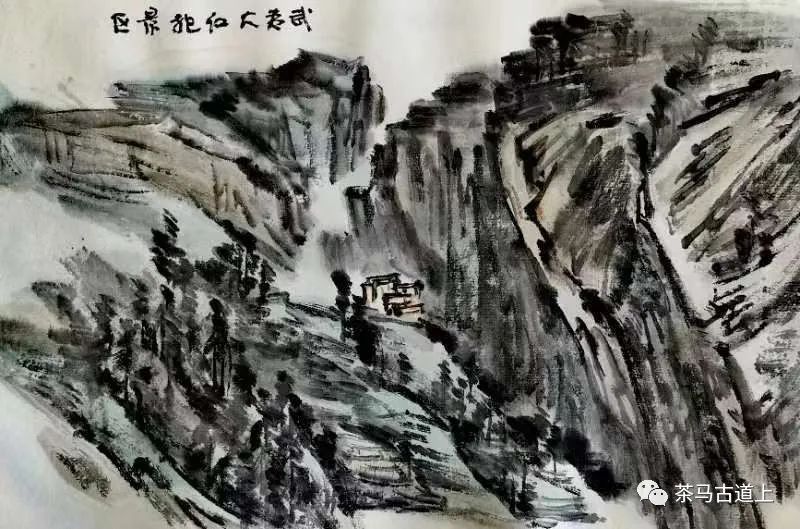 奇山觅宝——与著名画家舒建新一起探访武夷山